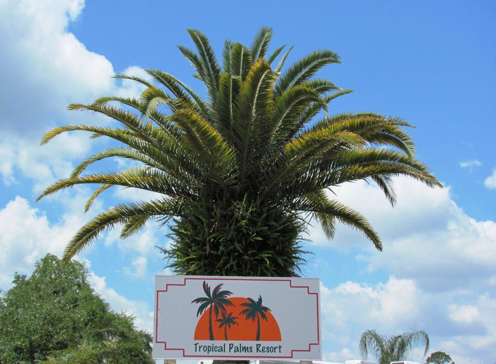 Tropical Palms Resort & Campground Kissimmee Exterior foto